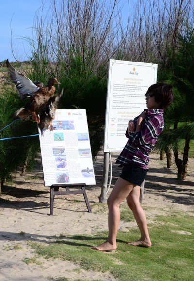 Thí sinh VJ Camp "gặp nạn" khi đối diện với MC Anh Tuấn ảnh 6 Thí sinh VJ Camp "gặp nạn" khi đối diện với MC Anh Tuấn ảnh 6