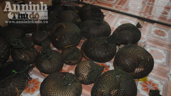 Ô tô không BKS chở hơn 400kg kỳ đà và tê tê ảnh 1 Ô tô không BKS chở hơn 400kg kỳ đà và tê tê ảnh 1