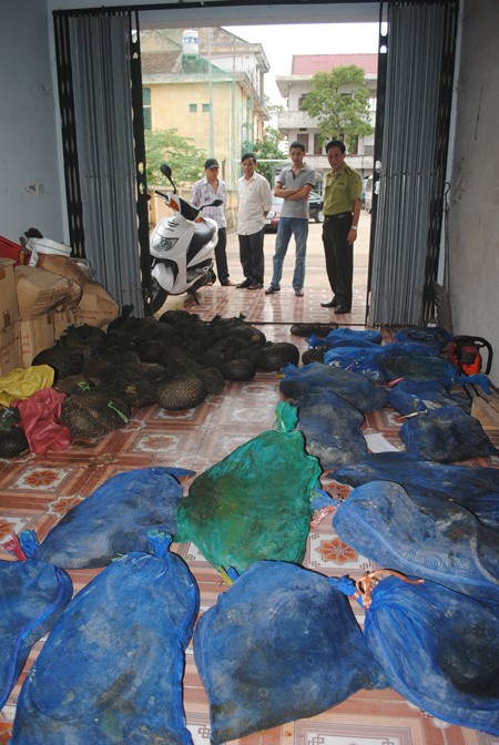 Ô tô không BKS chở hơn 400kg kỳ đà và tê tê ảnh 2 Ô tô không BKS chở hơn 400kg kỳ đà và tê tê ảnh 2