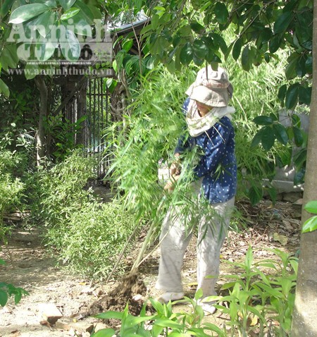 Đánh án ma túy ở vùng ven đô thành phố biển ảnh 1 Đánh án ma túy ở vùng ven đô thành phố biển ảnh 1