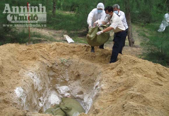 Cán bộ thú y làm ngơ để lò mổ giết thịt lợn nhiễm bệnh ảnh 2 Cán bộ thú y làm ngơ để lò mổ giết thịt lợn nhiễm bệnh ảnh 2