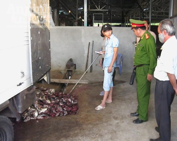 Doanh nghiệp chôn ống ngầm, xả thải bẩn xuống sông ảnh 1 Doanh nghiệp chôn ống ngầm, xả thải bẩn xuống sông ảnh 1