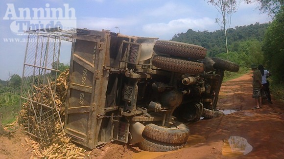 Tránh xe đạp, ô tô tải chở sắn "chổng vó" giữa đường ảnh 1 Tránh xe đạp, ô tô tải chở sắn "chổng vó" giữa đường ảnh 1