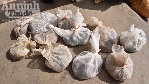 Phát hiện gỗ lậu, động vật hoang dã trên xe khách BKS Lào ảnh 2