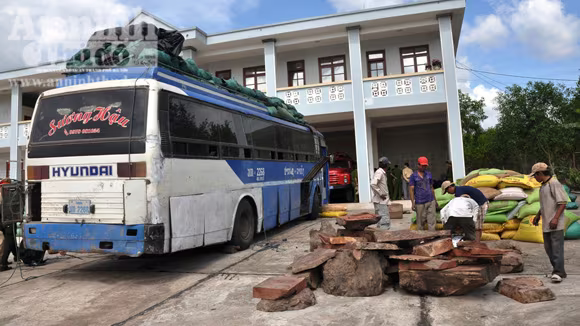 Phát hiện gỗ lậu, động vật hoang dã trên xe khách BKS Lào ảnh 1
