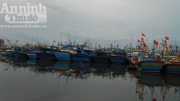Bình Định: Kêu gọi tàu thuyền phòng tránh áp thấp nhiệt đới ảnh 1 Bình Định: Kêu gọi tàu thuyền phòng tránh áp thấp nhiệt đới ảnh 1