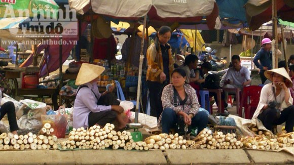 Về miền tây xứ Nghệ mùa măng đắng ảnh 2 Về miền tây xứ Nghệ mùa măng đắng ảnh 2