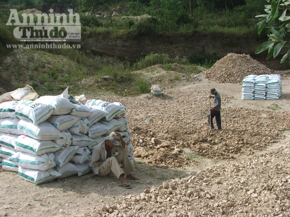 Bùng phát nạn khai thác Diatomite, đất rừng bị phá tan hoang ảnh 2 Bùng phát nạn khai thác Diatomite, đất rừng bị phá tan hoang ảnh 2