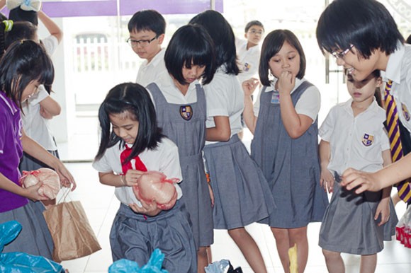 Giới trẻ hào hứng với chương trình "Gạo thật" ảnh 7 Giới trẻ hào hứng với chương trình "Gạo thật" ảnh 7