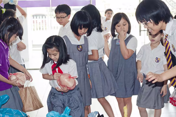 Giới trẻ hào hứng với chương trình "Gạo thật" ảnh 7