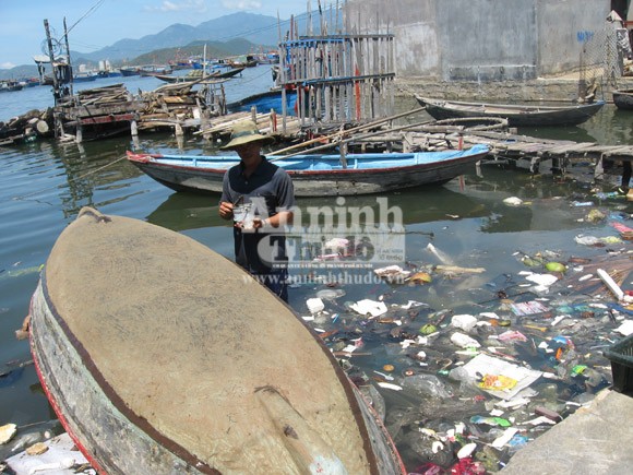 Vô tư xả thải: vịnh Cam Ranh đang thành... "biển thối" ảnh 3 Vô tư xả thải: vịnh Cam Ranh đang thành... "biển thối" ảnh 3