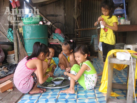 Vô tư xả thải: vịnh Cam Ranh đang thành... "biển thối" ảnh 5 Vô tư xả thải: vịnh Cam Ranh đang thành... "biển thối" ảnh 5