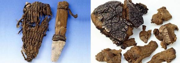 Xác ướp 5000 năm tuổi Otzi và lời nguyền bí ẩn ảnh 3 Xác ướp 5000 năm tuổi Otzi và lời nguyền bí ẩn ảnh 3