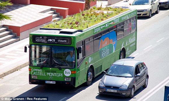 Trồng cây trên xe bus để... chống nóng ảnh 1 Trồng cây trên xe bus để... chống nóng ảnh 1