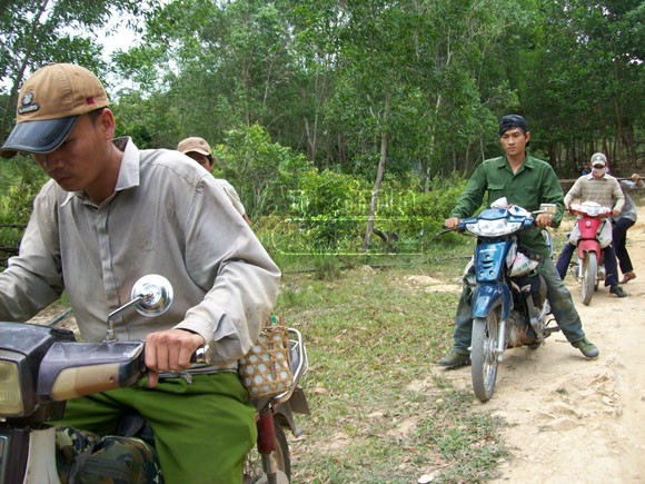 Phú Yên: Bùng phát nạn phá rừng tìm trầm ảnh 3 Phú Yên: Bùng phát nạn phá rừng tìm trầm ảnh 3