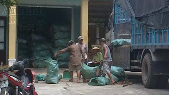 Gần 6 tấn gỗ quý bị phát hiện và thu giữ trên đường vận chuyển ra Hà Nội ảnh 1 Gần 6 tấn gỗ quý bị phát hiện và thu giữ trên đường vận chuyển ra Hà Nội ảnh 1