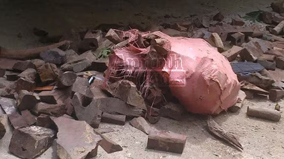 Gần 6 tấn gỗ quý bị phát hiện và thu giữ trên đường vận chuyển ra Hà Nội ảnh 2 Gần 6 tấn gỗ quý bị phát hiện và thu giữ trên đường vận chuyển ra Hà Nội ảnh 2