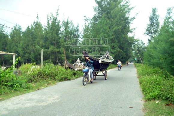 Quảng Trị sẵn sàng ứng phó với bão số 10 ảnh 6 Quảng Trị sẵn sàng ứng phó với bão số 10 ảnh 6