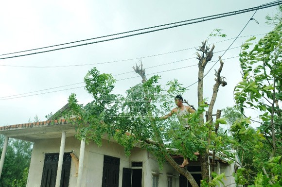 Quảng Trị sẵn sàng ứng phó với bão số 10 ảnh 5 Quảng Trị sẵn sàng ứng phó với bão số 10 ảnh 5