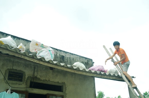 Quảng Trị sẵn sàng ứng phó với bão số 10 ảnh 3 Quảng Trị sẵn sàng ứng phó với bão số 10 ảnh 3