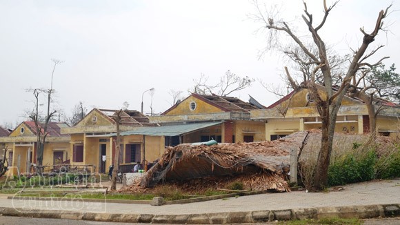 Đảo Cồn Cỏ lại bị vùi dập trong bão Nari ảnh 1 Đảo Cồn Cỏ lại bị vùi dập trong bão Nari ảnh 1