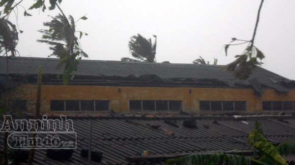 Đảo Lý Sơn bị tàn phá nặng nề trong bão ảnh 1 Đảo Lý Sơn bị tàn phá nặng nề trong bão ảnh 1