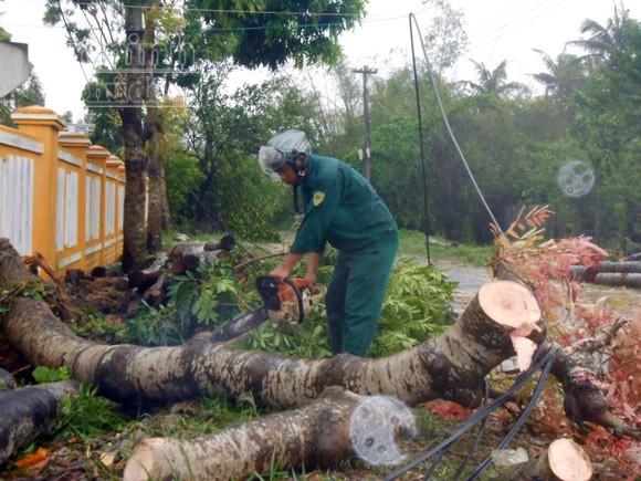 Đảo Lý Sơn bị tàn phá nặng nề trong bão ảnh 3 Đảo Lý Sơn bị tàn phá nặng nề trong bão ảnh 3