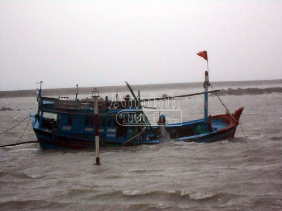 Đảo Lý Sơn bị tàn phá nặng nề trong bão ảnh 4 Đảo Lý Sơn bị tàn phá nặng nề trong bão ảnh 4