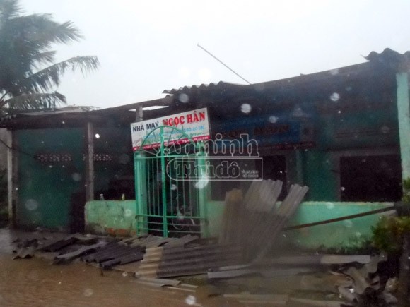 Đảo Lý Sơn bị tàn phá nặng nề trong bão ảnh 2 Đảo Lý Sơn bị tàn phá nặng nề trong bão ảnh 2
