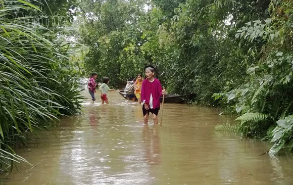Lũ lớn tại Nghệ An - Hà Tĩnh, hàng ngàn hộ dân chìm trong biển nước ảnh 6 Lũ lớn tại Nghệ An - Hà Tĩnh, hàng ngàn hộ dân chìm trong biển nước ảnh 6
