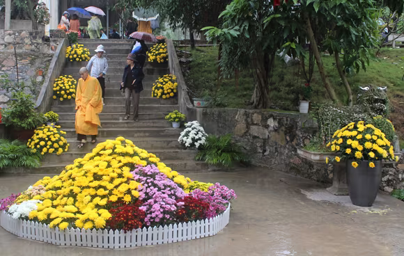 Về Quảng Ninh ghé thăm lễ hội hoa cúc ảnh 10 Về Quảng Ninh ghé thăm lễ hội hoa cúc ảnh 10