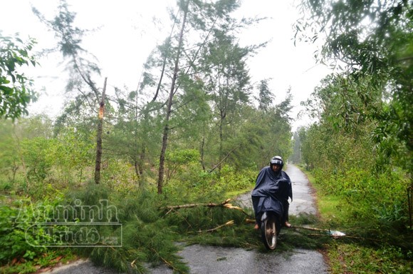 Mở sẵn lô cốt, đón dân tránh siêu bão ảnh 1 Mở sẵn lô cốt, đón dân tránh siêu bão ảnh 1