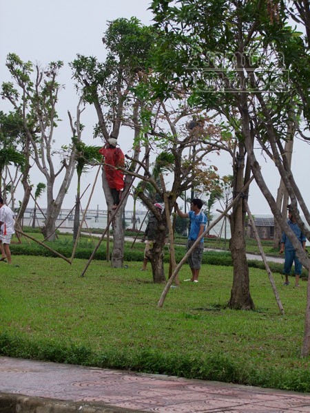 Mở sẵn lô cốt, đón dân tránh siêu bão ảnh 11 Mở sẵn lô cốt, đón dân tránh siêu bão ảnh 11