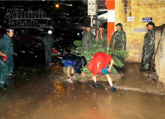 Hải Phòng cơ bản hoàn tất công tác ứng phó cơn bão số 14 ảnh 9 Hải Phòng cơ bản hoàn tất công tác ứng phó cơn bão số 14 ảnh 9