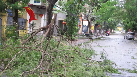 Đã có 13 người thiệt mạng do bão số 14 ảnh 3