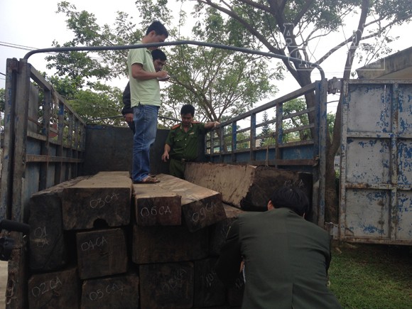 Phát hiện 14 phách gỗ vận chuyển trái phép ảnh 1 Phát hiện 14 phách gỗ vận chuyển trái phép ảnh 1