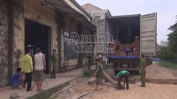 Phát hiện gần 10 khối gỗ lậu lẫn trong đống gỗ hợp pháp ảnh 1 Phát hiện gần 10 khối gỗ lậu lẫn trong đống gỗ hợp pháp ảnh 1