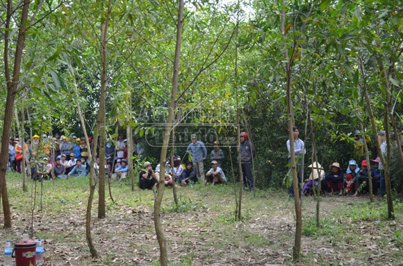 Người phụ nữ chết trong rừng keo do bị cắt cổ ảnh 2 Người phụ nữ chết trong rừng keo do bị cắt cổ ảnh 2
