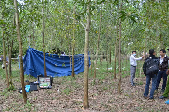 Người phụ nữ chết trong rừng keo do bị cắt cổ ảnh 1