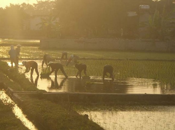 Bức tranh chân thực về cuộc sống qua ánh mắt trẻ thơ ảnh 8 Bức tranh chân thực về cuộc sống qua ánh mắt trẻ thơ ảnh 8