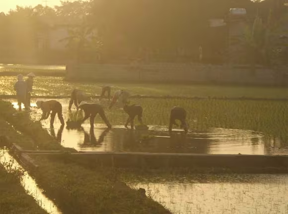 Bức tranh chân thực về cuộc sống qua ánh mắt trẻ thơ ảnh 8 Bức tranh chân thực về cuộc sống qua ánh mắt trẻ thơ ảnh 8