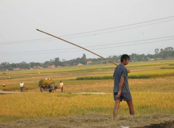 Bức tranh chân thực về cuộc sống qua ánh mắt trẻ thơ ảnh 10 Bức tranh chân thực về cuộc sống qua ánh mắt trẻ thơ ảnh 10
