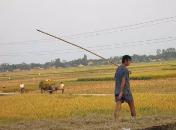 Bức tranh chân thực về cuộc sống qua ánh mắt trẻ thơ ảnh 10 Bức tranh chân thực về cuộc sống qua ánh mắt trẻ thơ ảnh 10