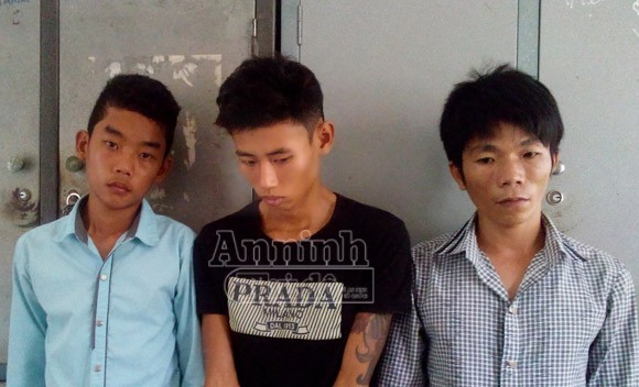 Thuê ô tô đi... trộm bò ảnh 1 Thuê ô tô đi... trộm bò ảnh 1