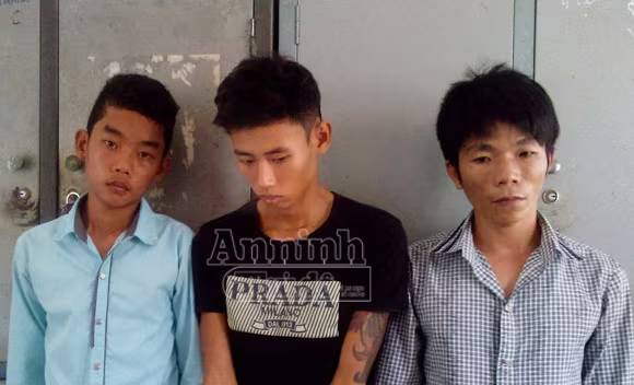 Thuê ô tô đi... trộm bò ảnh 1 Thuê ô tô đi... trộm bò ảnh 1