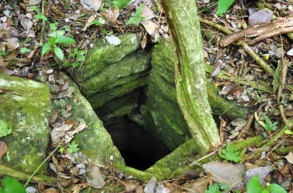 Khai quật thêm 2 di tích cổ của nền văn minh Maya ảnh 4 Khai quật thêm 2 di tích cổ của nền văn minh Maya ảnh 4