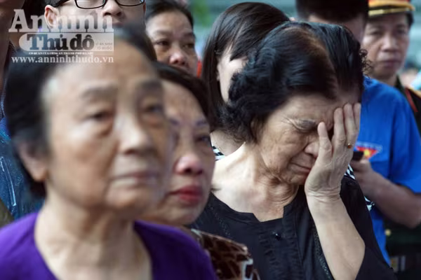 Xúc động tiễn biệt "đàn sếu trắng" CASA-212 số hiệu 8983 bay về trời xanh ảnh 11 Xúc động tiễn biệt "đàn sếu trắng" CASA-212 số hiệu 8983 bay về trời xanh ảnh 11