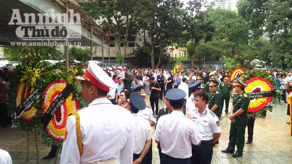 Xúc động tiễn biệt "đàn sếu trắng" CASA-212 số hiệu 8983 bay về trời xanh ảnh 65 Xúc động tiễn biệt "đàn sếu trắng" CASA-212 số hiệu 8983 bay về trời xanh ảnh 65