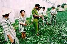 Ám ảnh “Sự hối hận và niềm tin hướng thiện” ảnh 2 Ám ảnh “Sự hối hận và niềm tin hướng thiện” ảnh 2