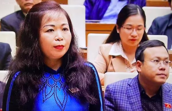 Đại biểu Vũ Thị Lưu Mai (đoàn Hà Nội) phát biểu thảo luận Đại biểu Vũ Thị Lưu Mai (đoàn Hà Nội) phát biểu thảo luận